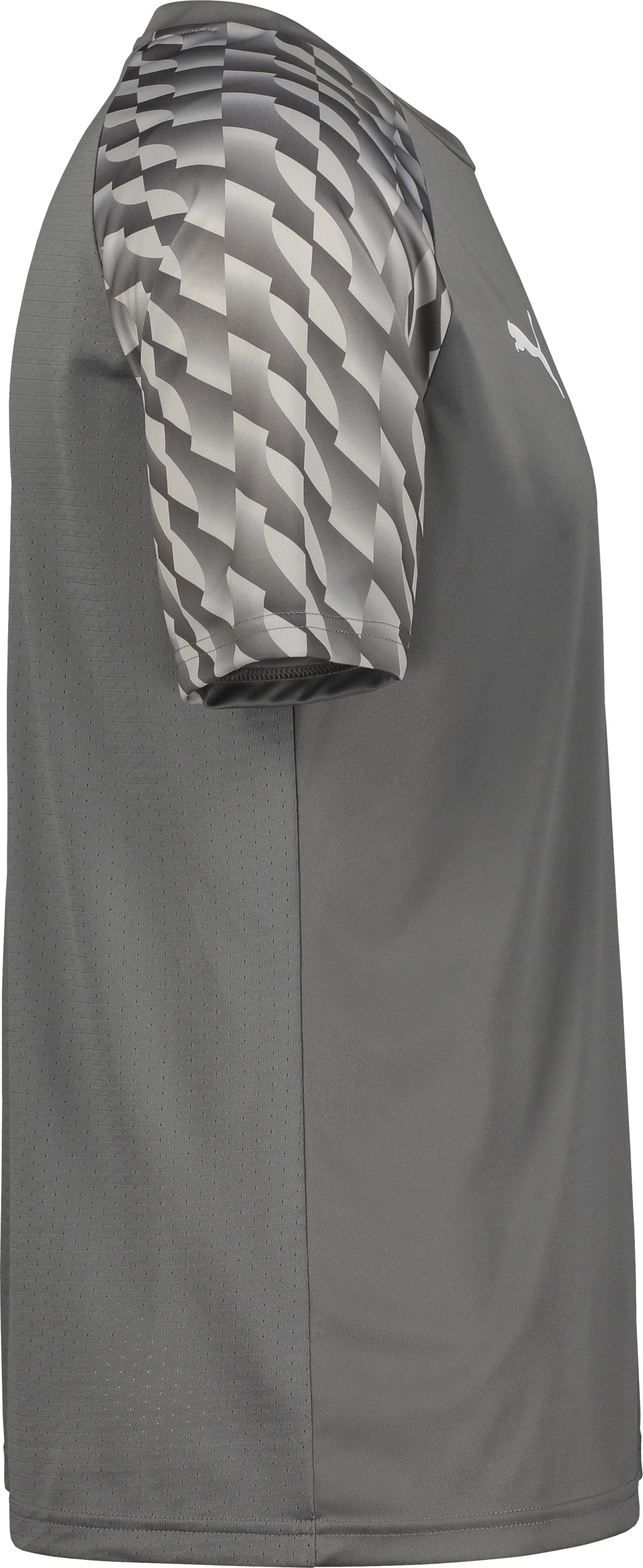 PUMA, TEAMLIGA26 JERSEY JR