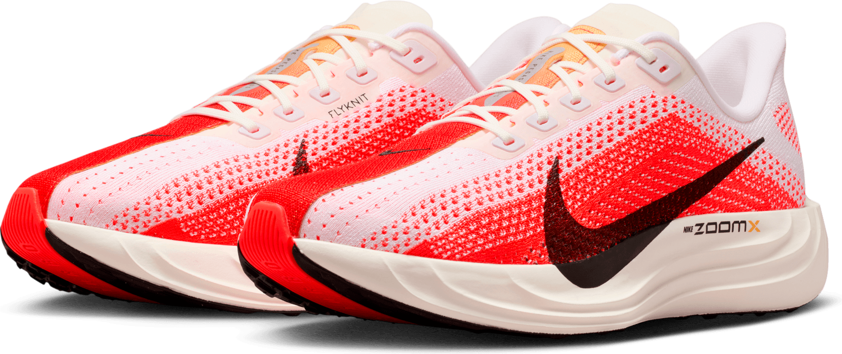 NIKE, M Pegasus Plus