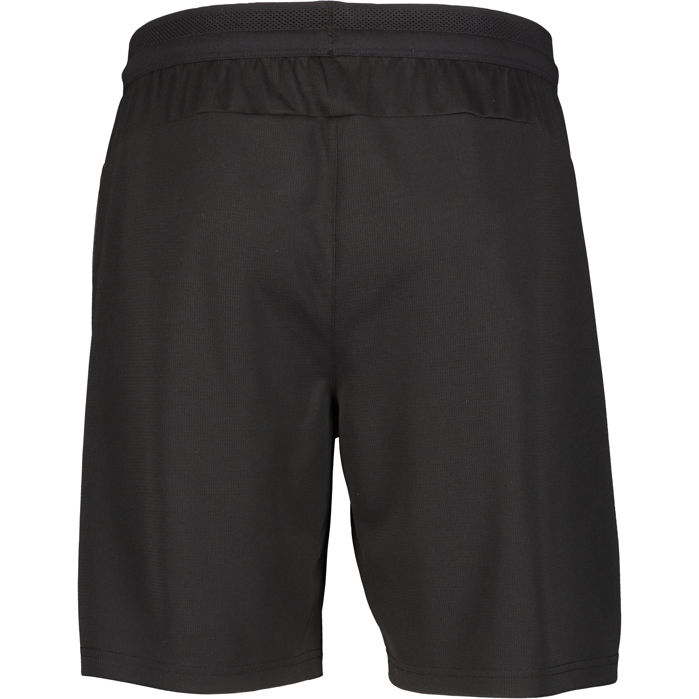 PUMA, Teamcup Training Shorts