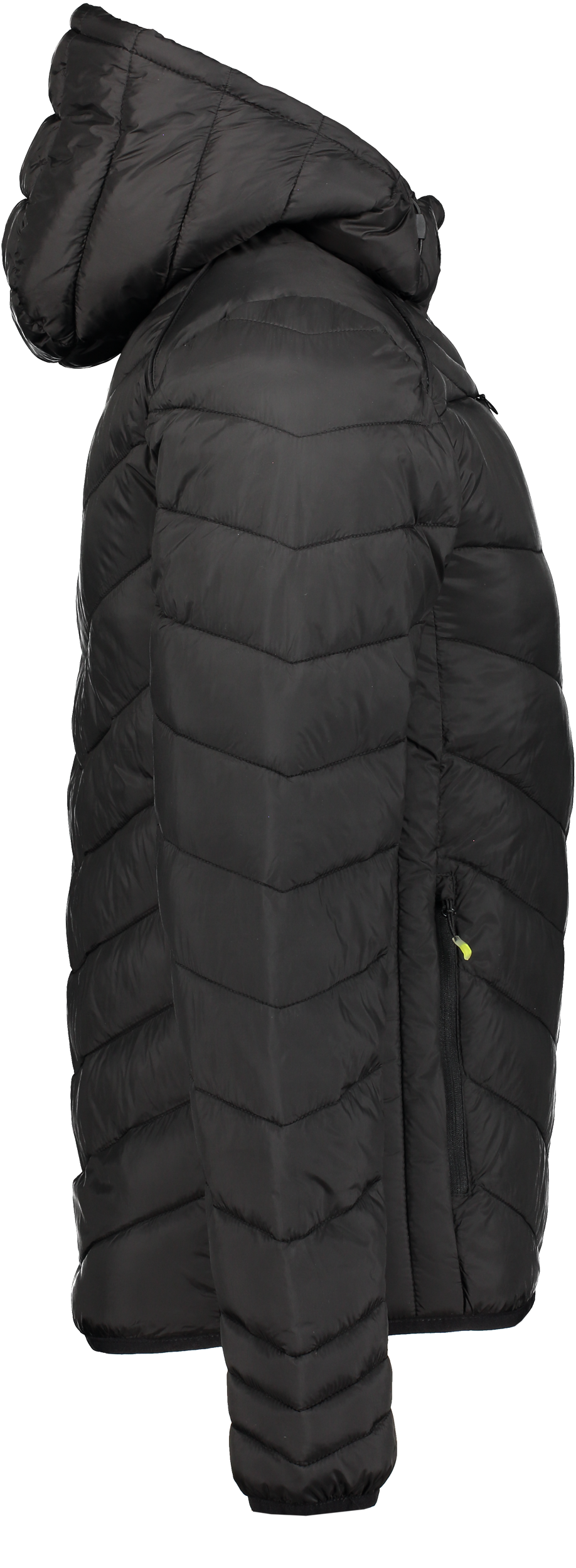 CLIQUE, Idaho Jkt