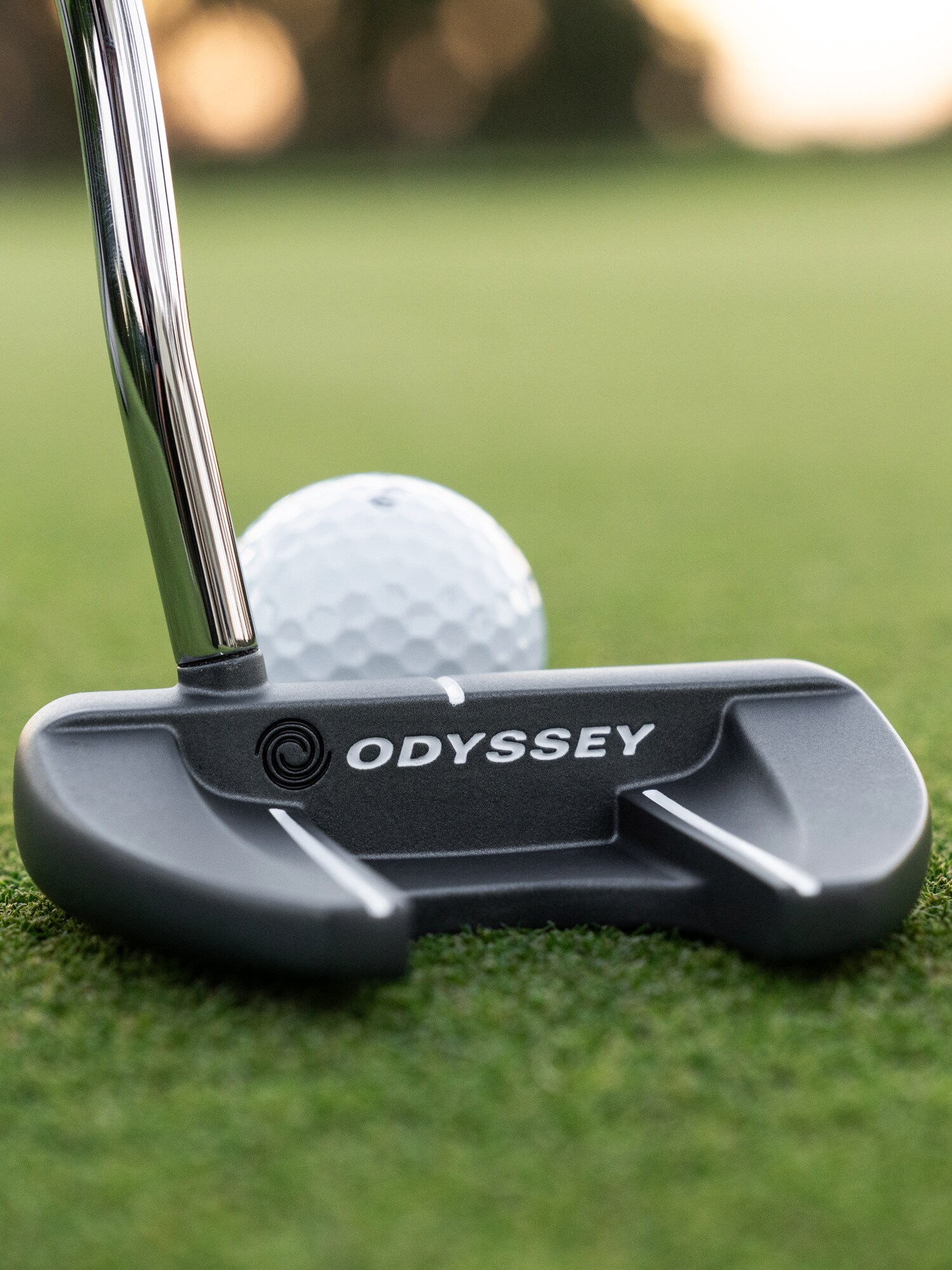 ODYSSEY, Dfx 25 Vline Fang Os Rh