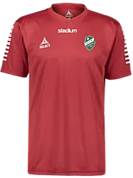 325504105101 SELECT Pisa Ss Jsy 325504105101 SELECT Pisa Ss Jsy Standard Small1x1
