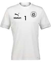 394120104101 PUMA T Goal Matchday Jsy 394120104101 PUMA T Goal Matchday Jsy Standard Small1x1