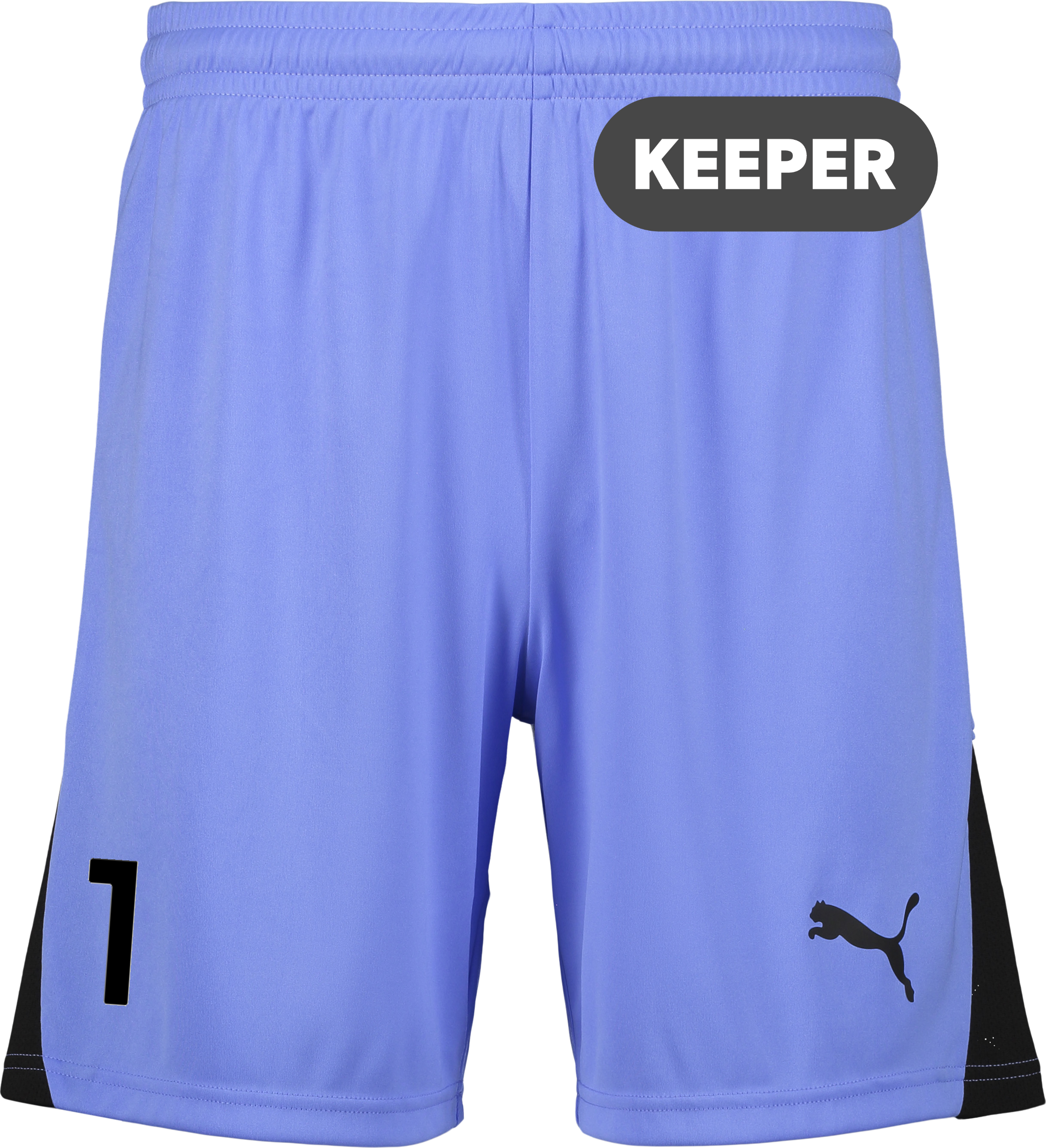 
PUMA, 
TEAMLIGA26 SHORTS, 
Detail 1
