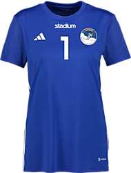 382408104101 ADIDAS Tabela 23 Jsy W 382408104101 ADIDAS Tabela 23 Jsy W Standard Small1x1