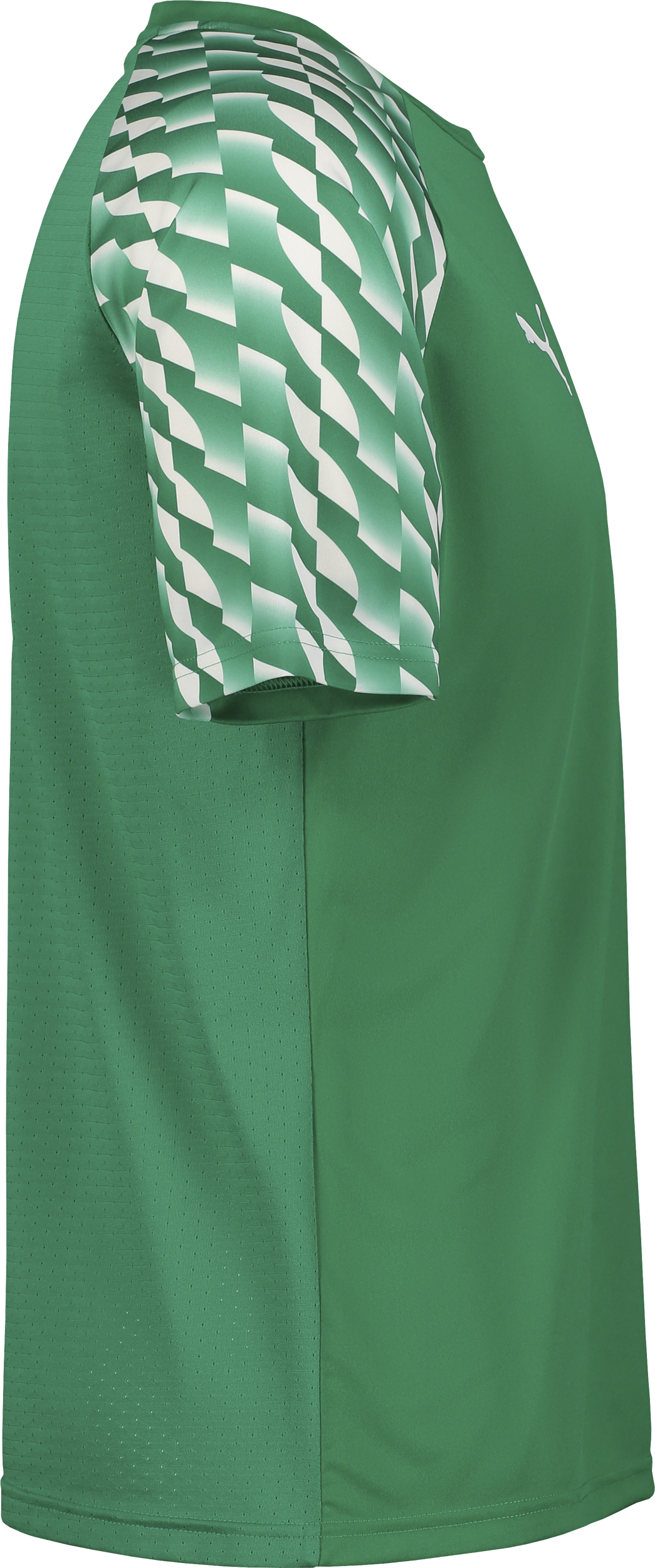 PUMA, TEAMLIGA26 JERSEY JR