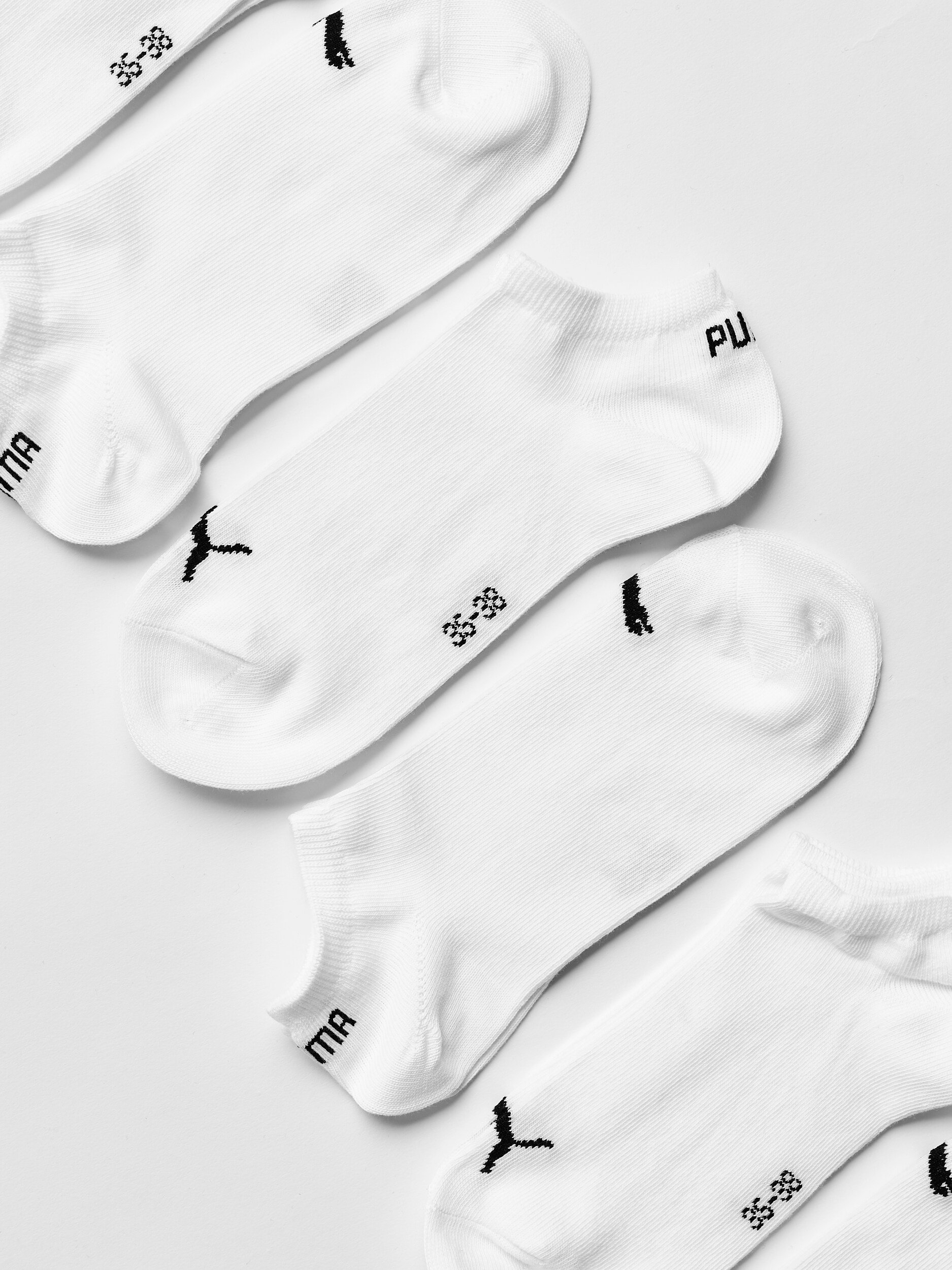 PUMA, U SNEAKER PROMO 6P