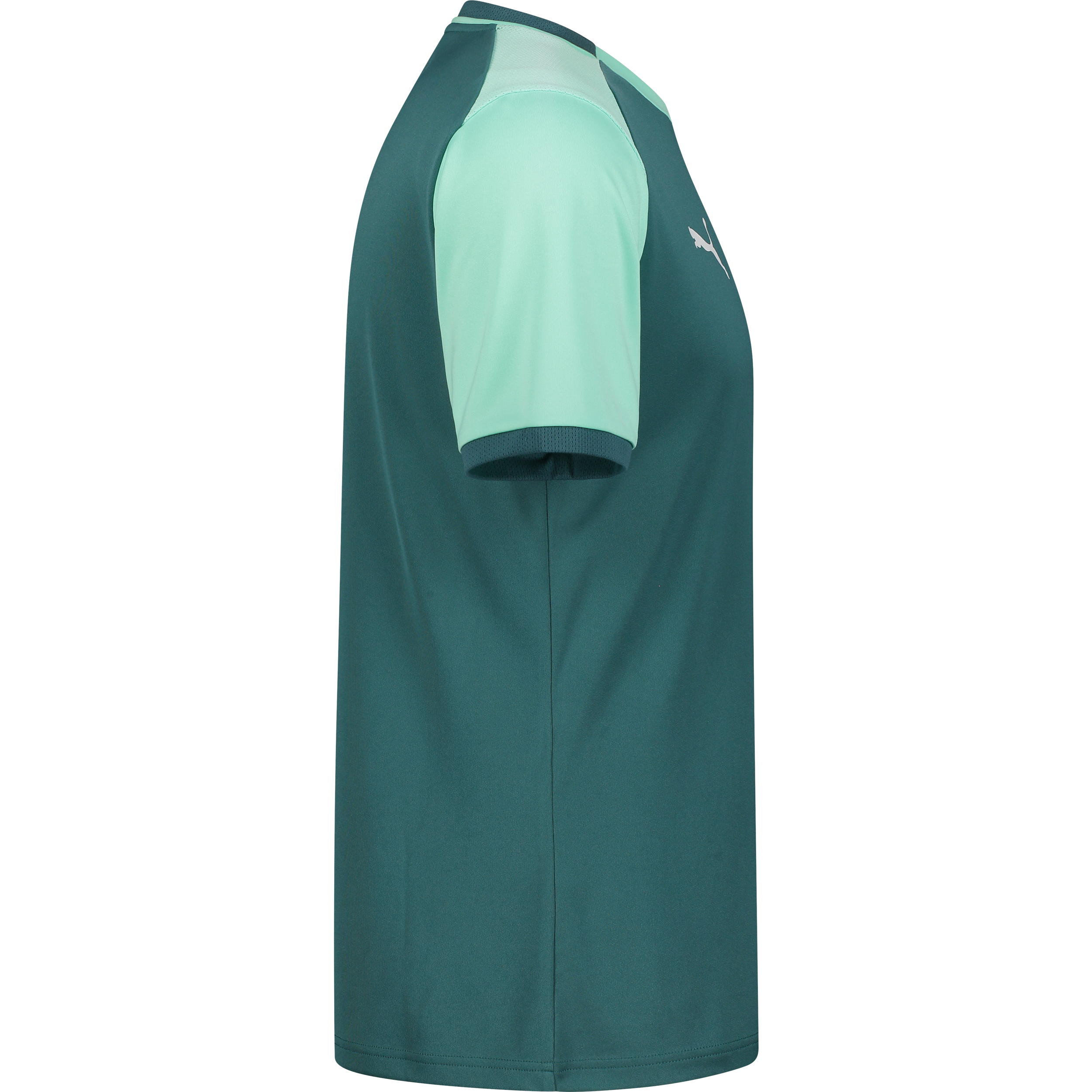 PUMA, TEAMLIGA26 MATCHDAY JERSEY