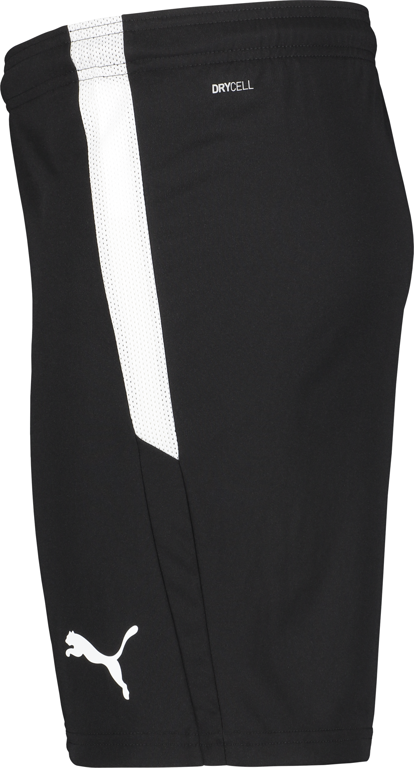 PUMA, T Liga Shorts Jr