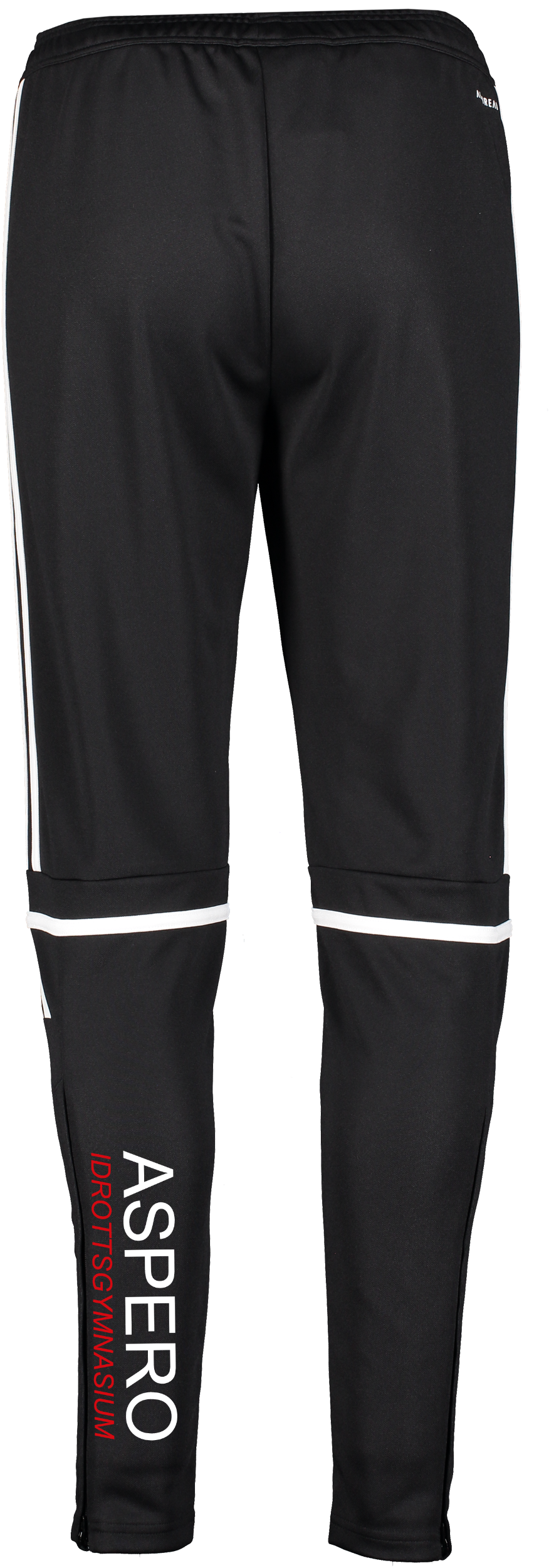 ADIDAS, Squad25 Tr Pnt W