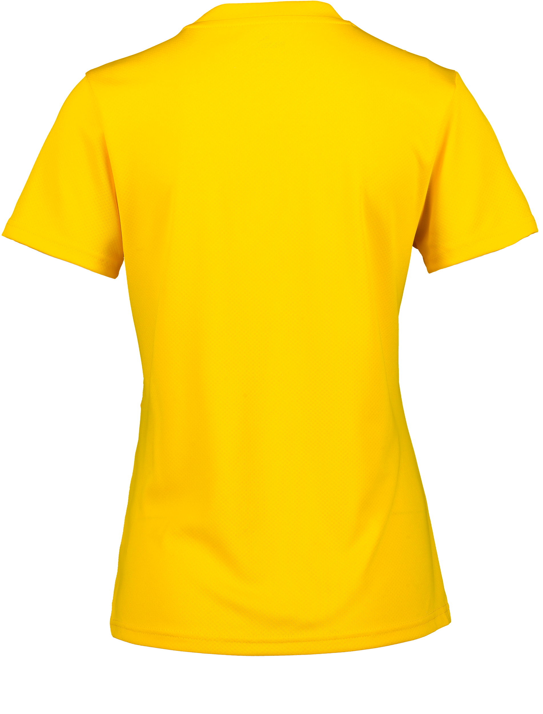 PUMA, T Goal Trg Jsy W