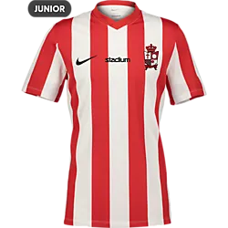400666109101 NIKE Stripe Dvsn Jsy Jr 400666109101 NIKE Stripe Dvsn Jsy Jr Standard Small1x1