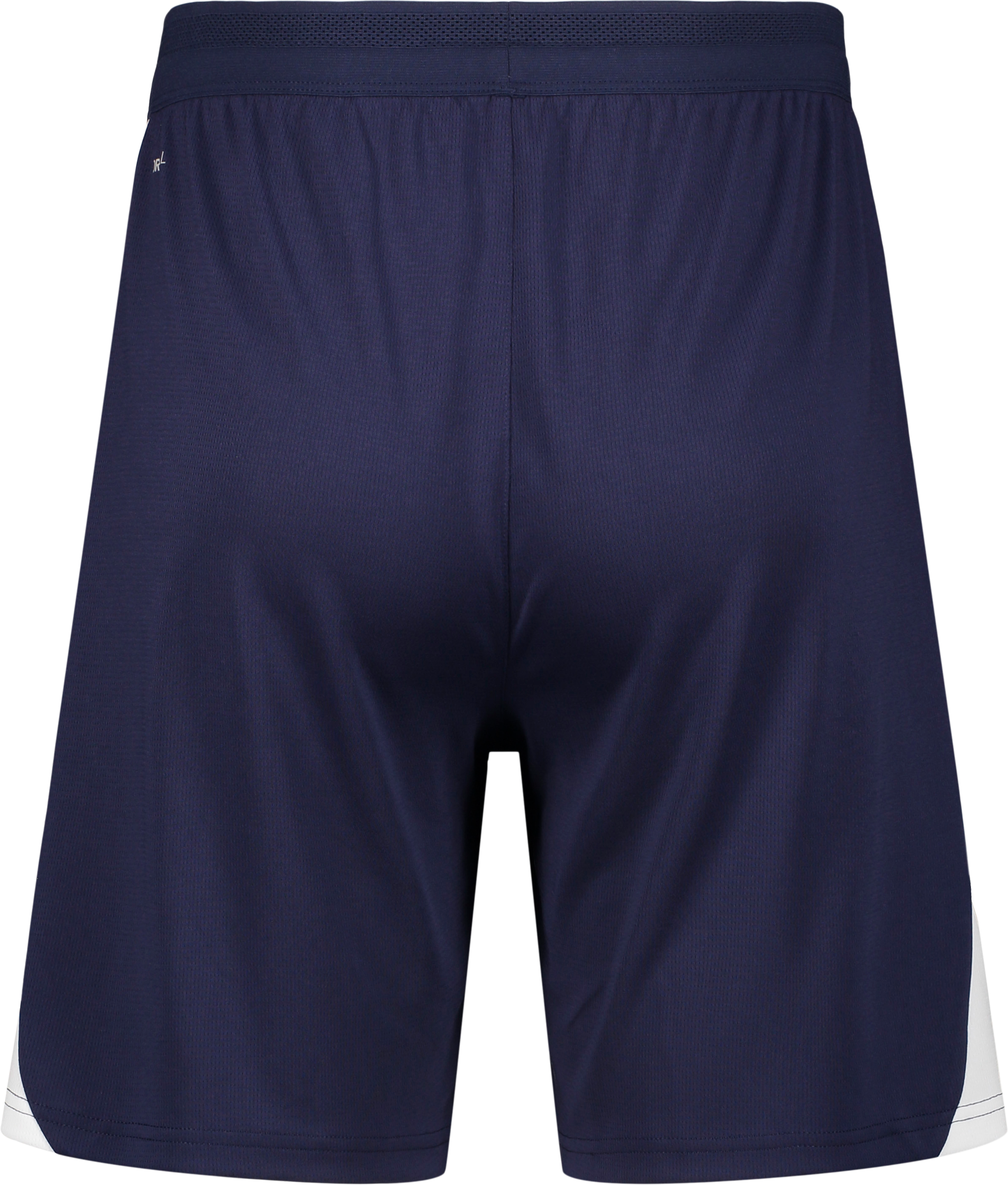 PUMA, TEAMFINAL26 TRAINING SHORTS