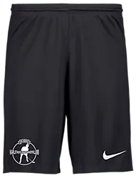 298936101101 NIKE Park III Short 298936101101 NIKE Park III Short Standard Small1x1