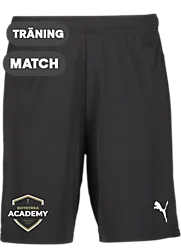 391942103101 PUMA T Goal Shorts 391942103101 PUMA T Goal Shorts Standard Small1x1