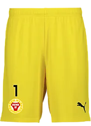 391942107101 PUMA T Goal Shorts 391942107101 PUMA T Goal Shorts Standard Small1x1