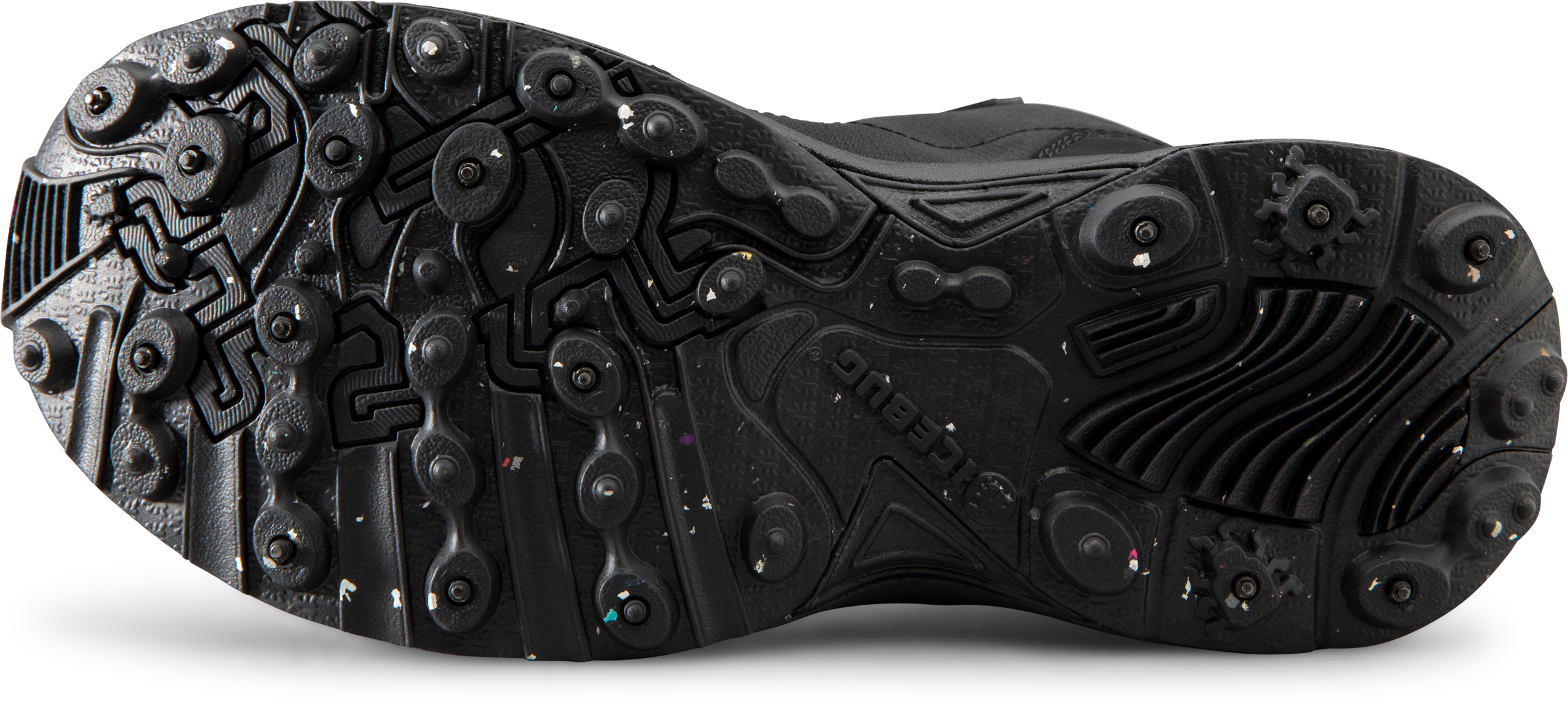 ICEBUG, W Nirak2 Bugrip