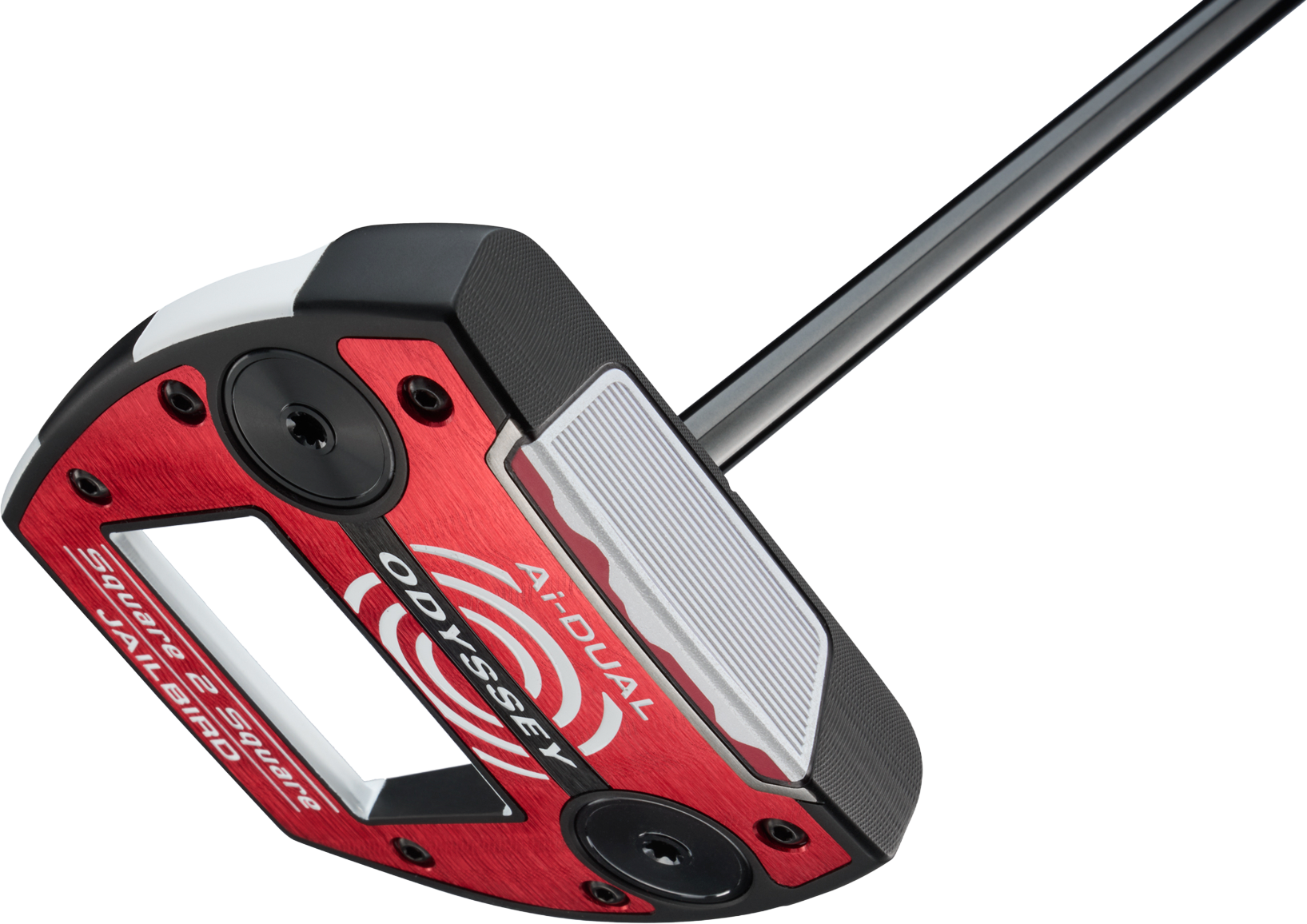 
ODYSSEY, 
SQUARE 2 SQUARE AI DUAL JAILBIRD OS LH, 
Detail 1
