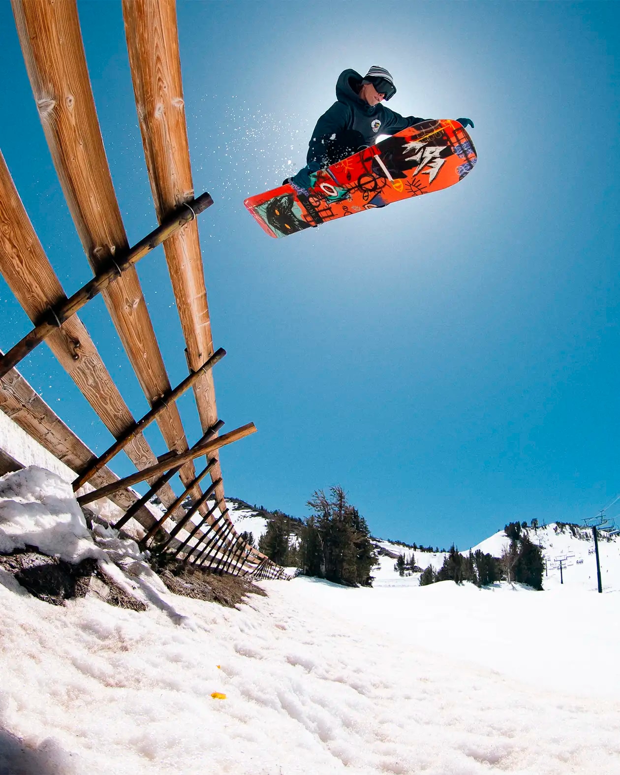 
JONES SNOWBOARD, 
Rally Cat, 
Detail 1

