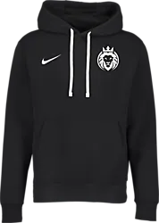 318285102101 NIKE Park 20 Flc Hood 318285102101 NIKE Park 20 Flc Hood Standard Small1x1