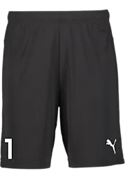 391942103101 PUMA T Goal Shorts 391942103101 PUMA T Goal Shorts Standard Small1x1