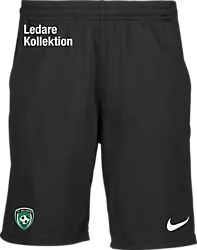 323389101101 NIKE Park20 Short 323389101101 NIKE Park20 Short Standard Small1x1