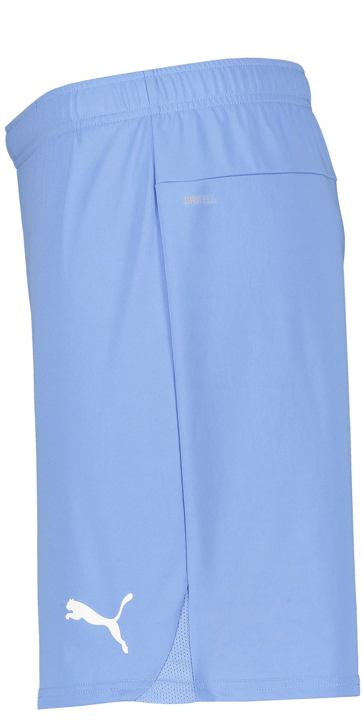 PUMA, T Goal Shorts