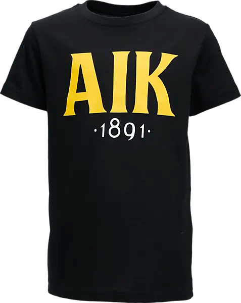 ТРОЙНИК AIK 1891 JR
