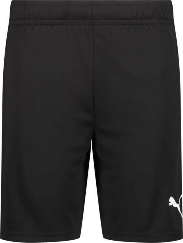 
PUMA, 
TEAMLIGA TRAINING SHORTS, 
Detail 1
