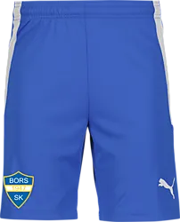 361521102101 PUMA T Liga Shorts Jr 361521102101 PUMA T Liga Shorts Jr Standard Small1x1