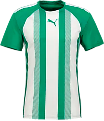 T Liga Striped Jsy - Green/White Standard Small1x1