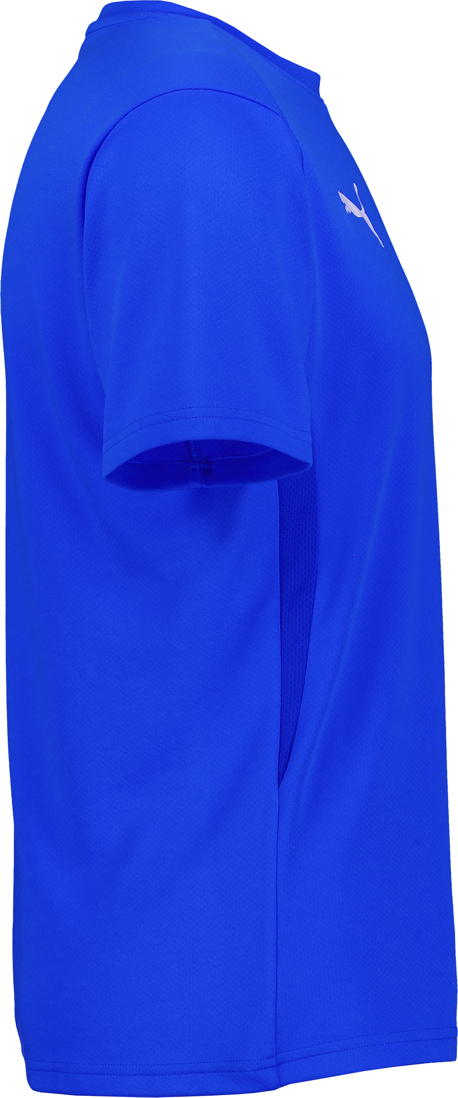 PUMA, T Goal Trg Jsy Jr