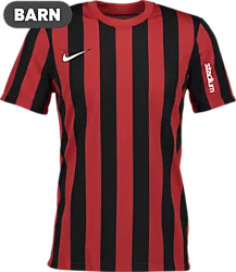 326367108101 NIKE Stripe Div Iv Jsy Jr 326367108101 NIKE Stripe Div Iv Jsy Jr Standard Small1x1