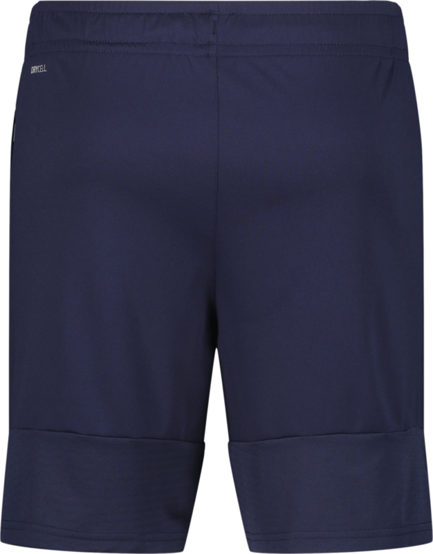 PUMA, TEAMLIGA TRAINING SHORTS