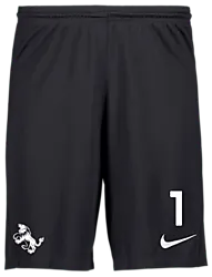 298936101101 NIKE Park III Short 298936101101 NIKE Park III Short Standard Small1x1