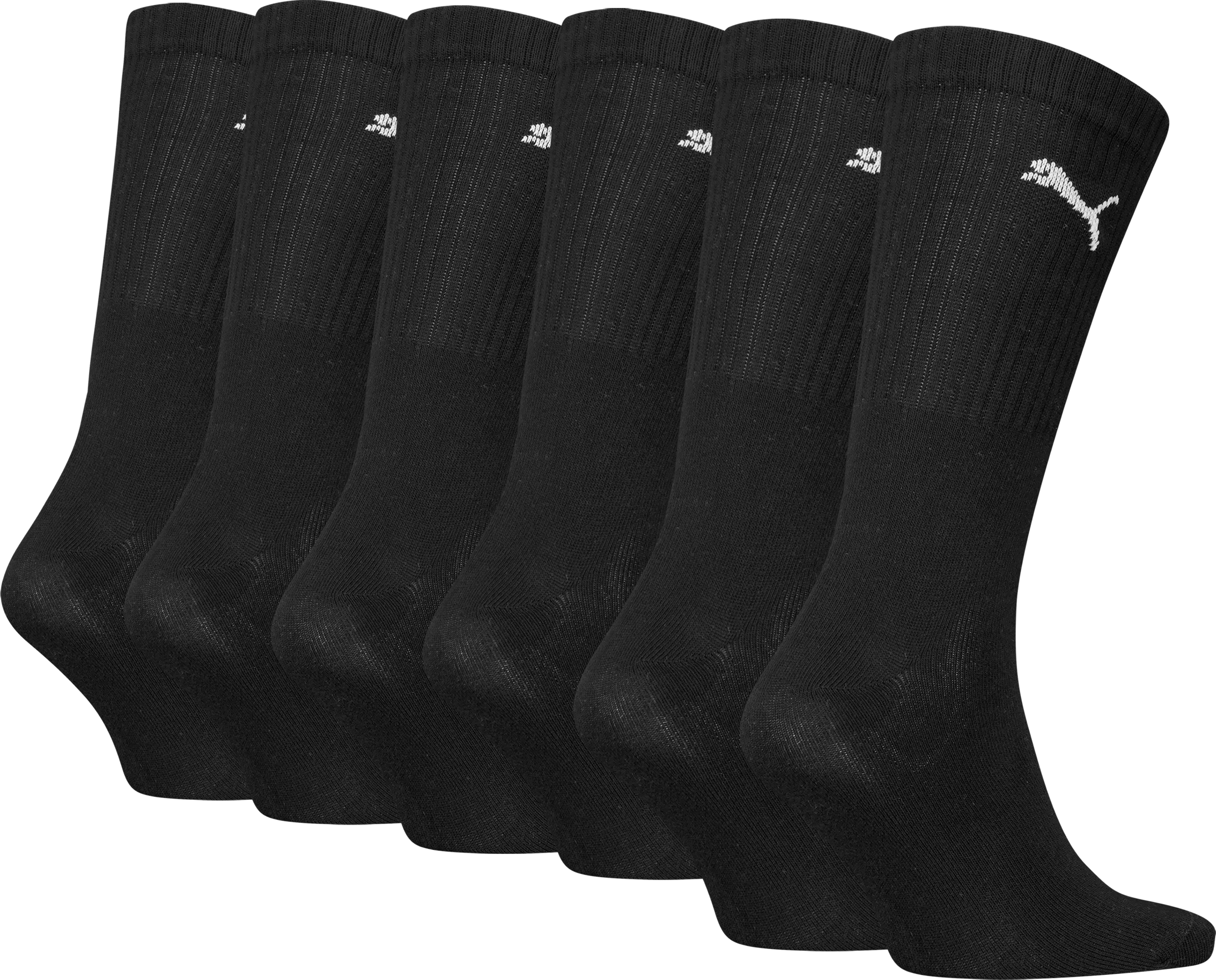 PUMA, U CREW PROMO 6P