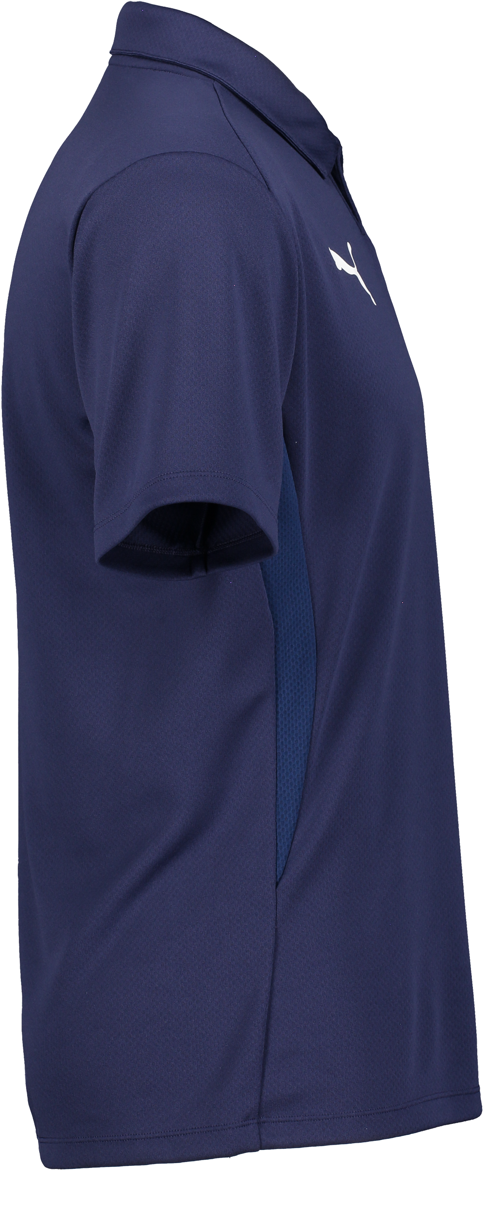 PUMA, T Goal Polo