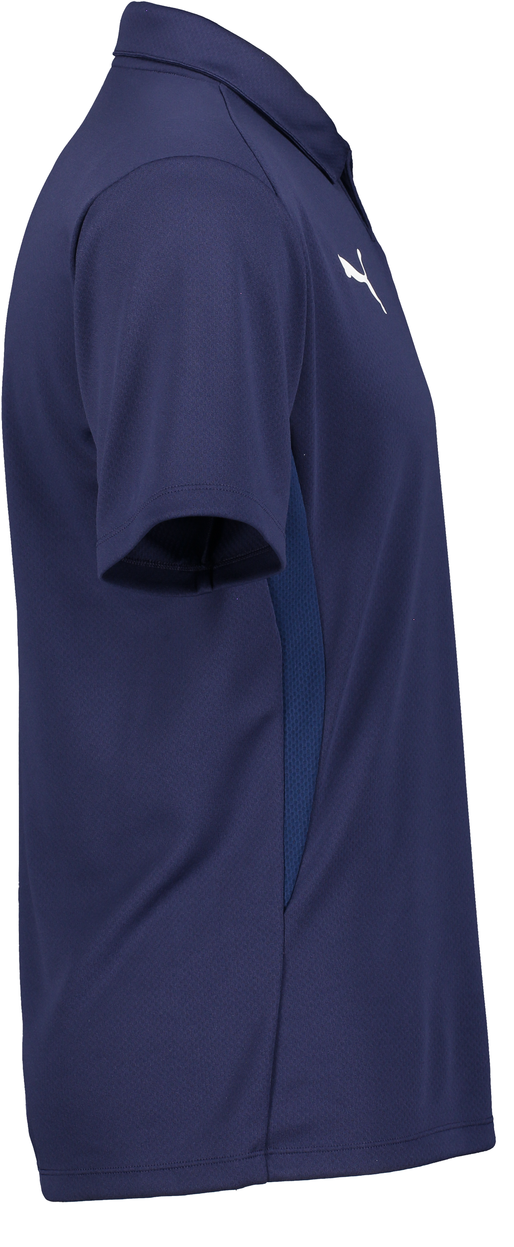 PUMA, T Goal Polo