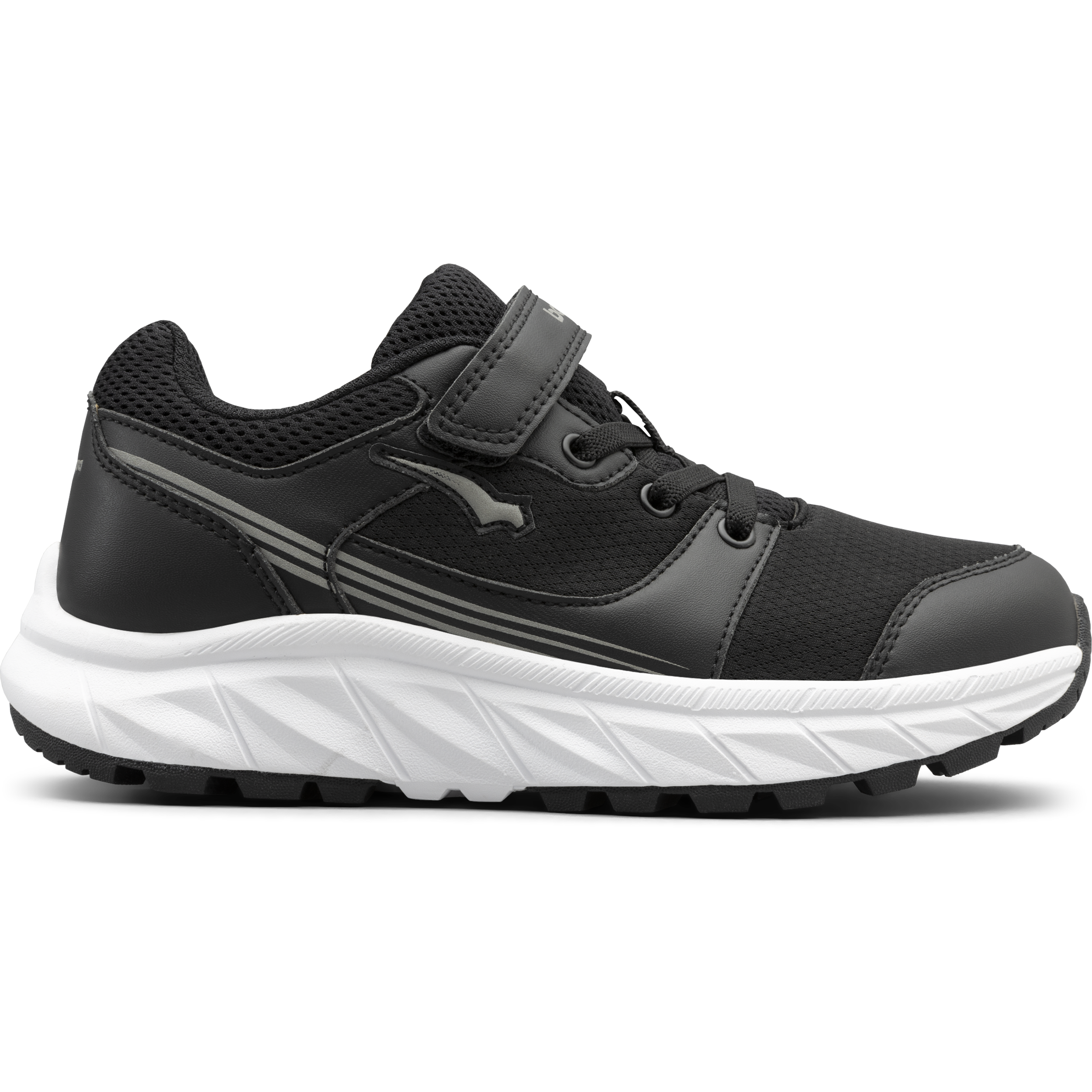 
BAGHEERA, 
Alpha Snk Jr, 
Detail 1
