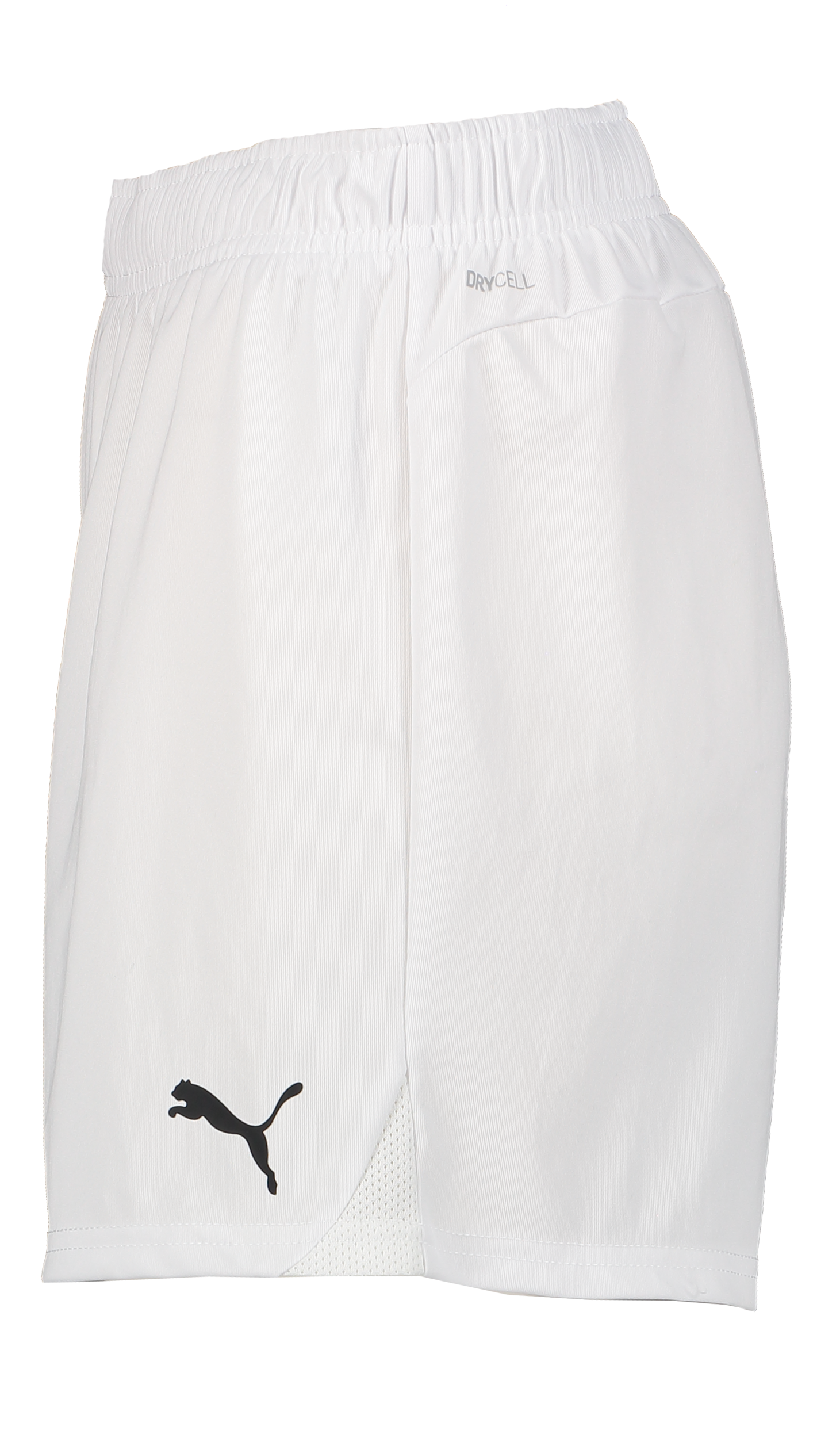 PUMA, T Goal Shorts Wmns