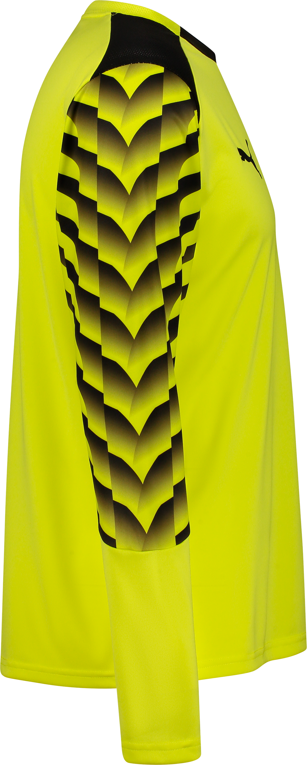 PUMA, TEAMLIGA26 GK JERSEY LS JR