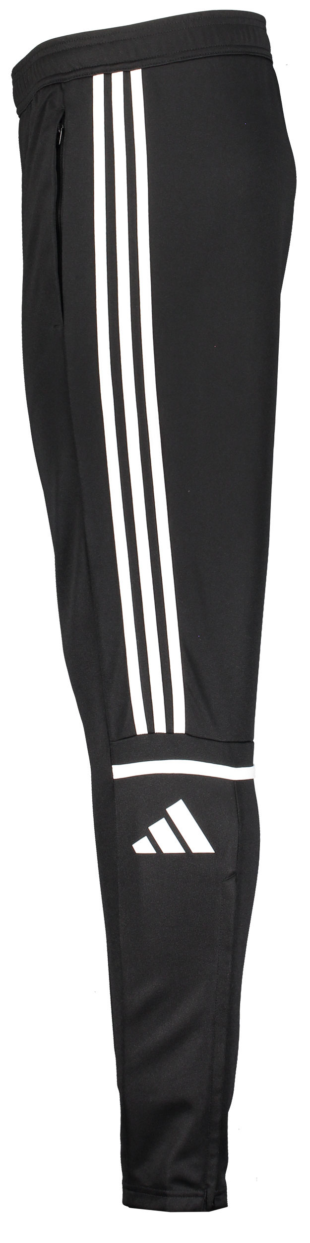 ADIDAS, Squad25 Tr Pnt