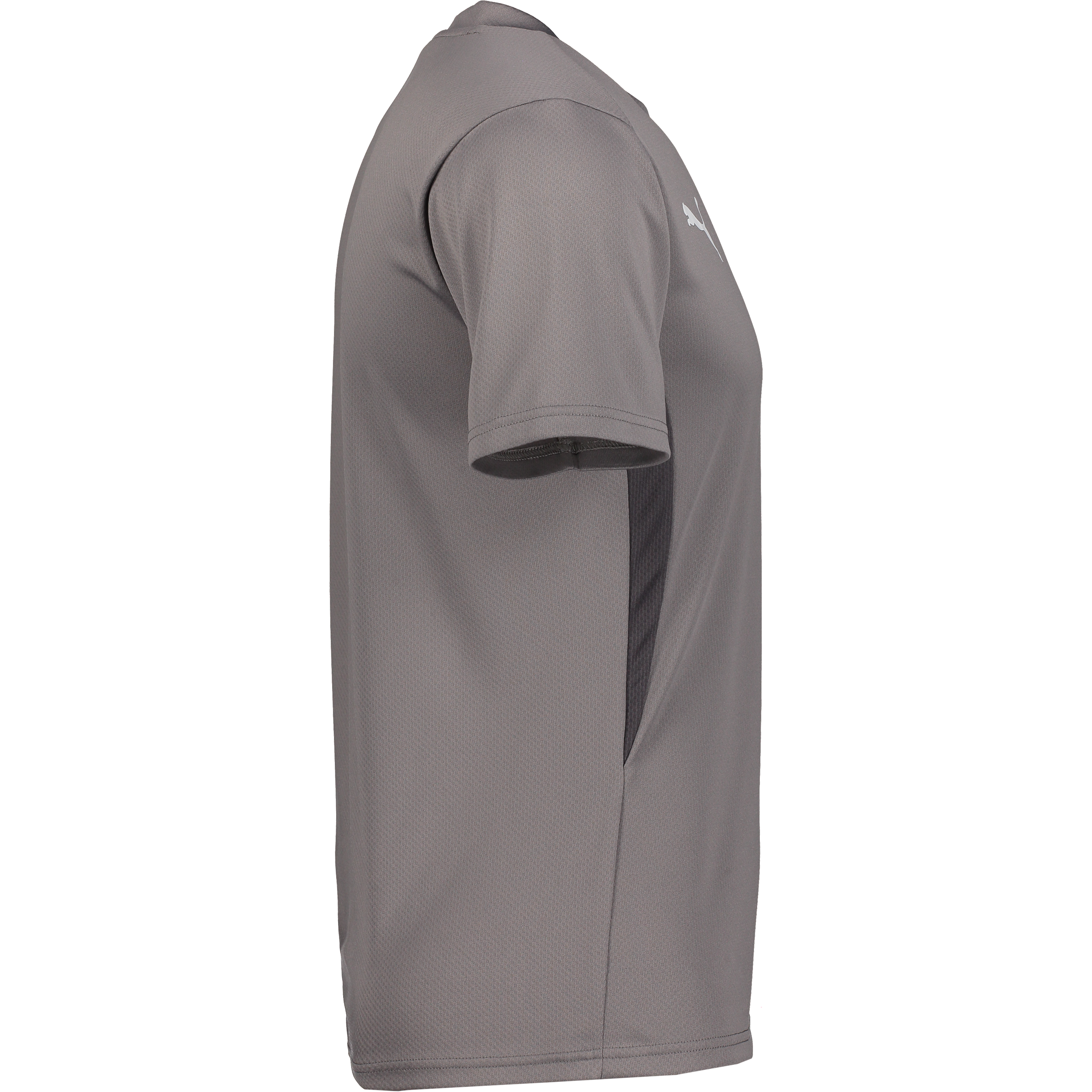 PUMA, T Goal Trg Jsy Jr