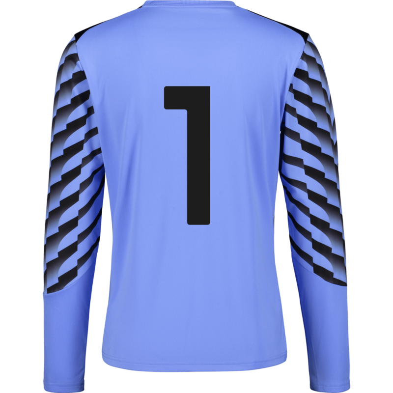 PUMA, TEAMLIGA26 GK JERSEY LS