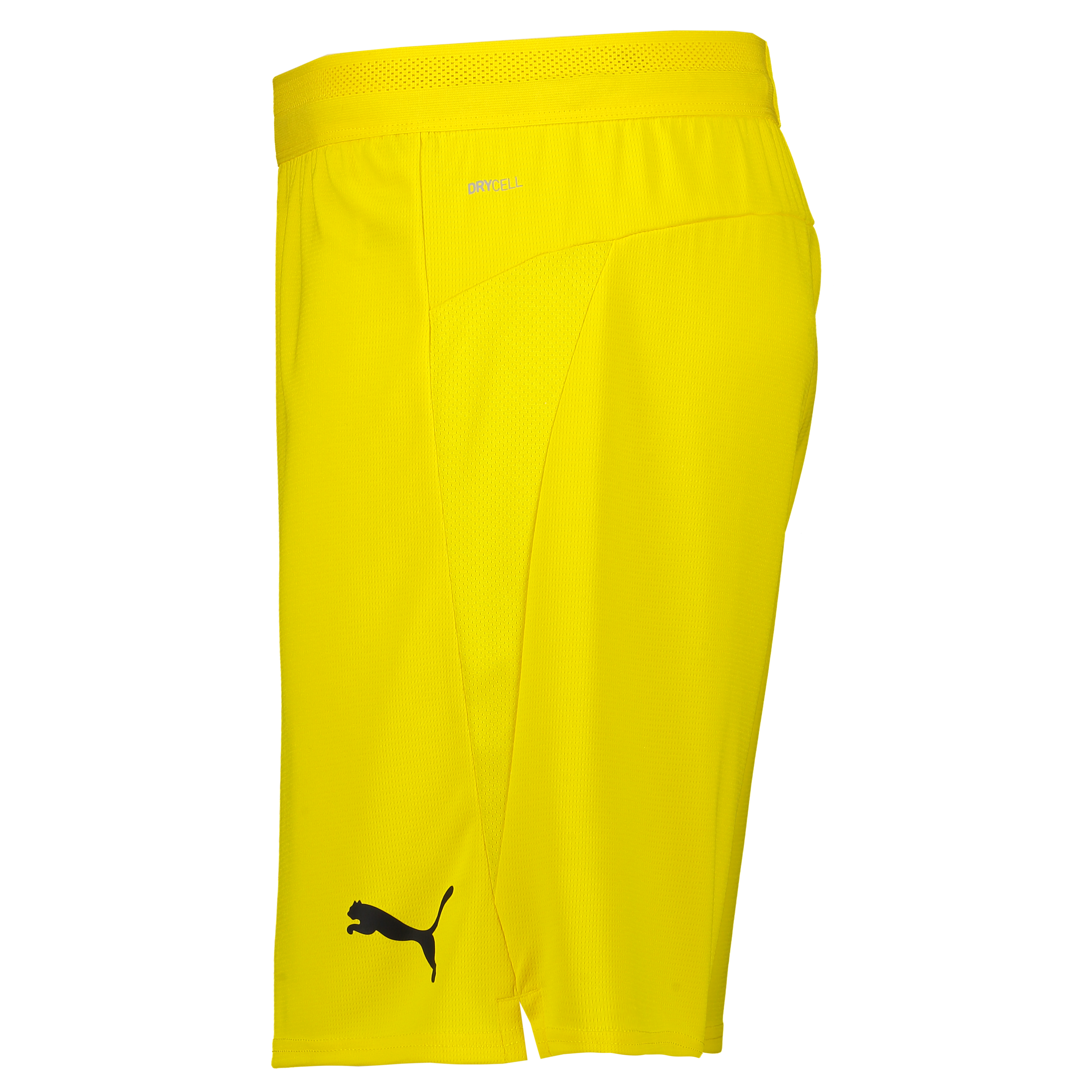 PUMA, Teamcup Shorts