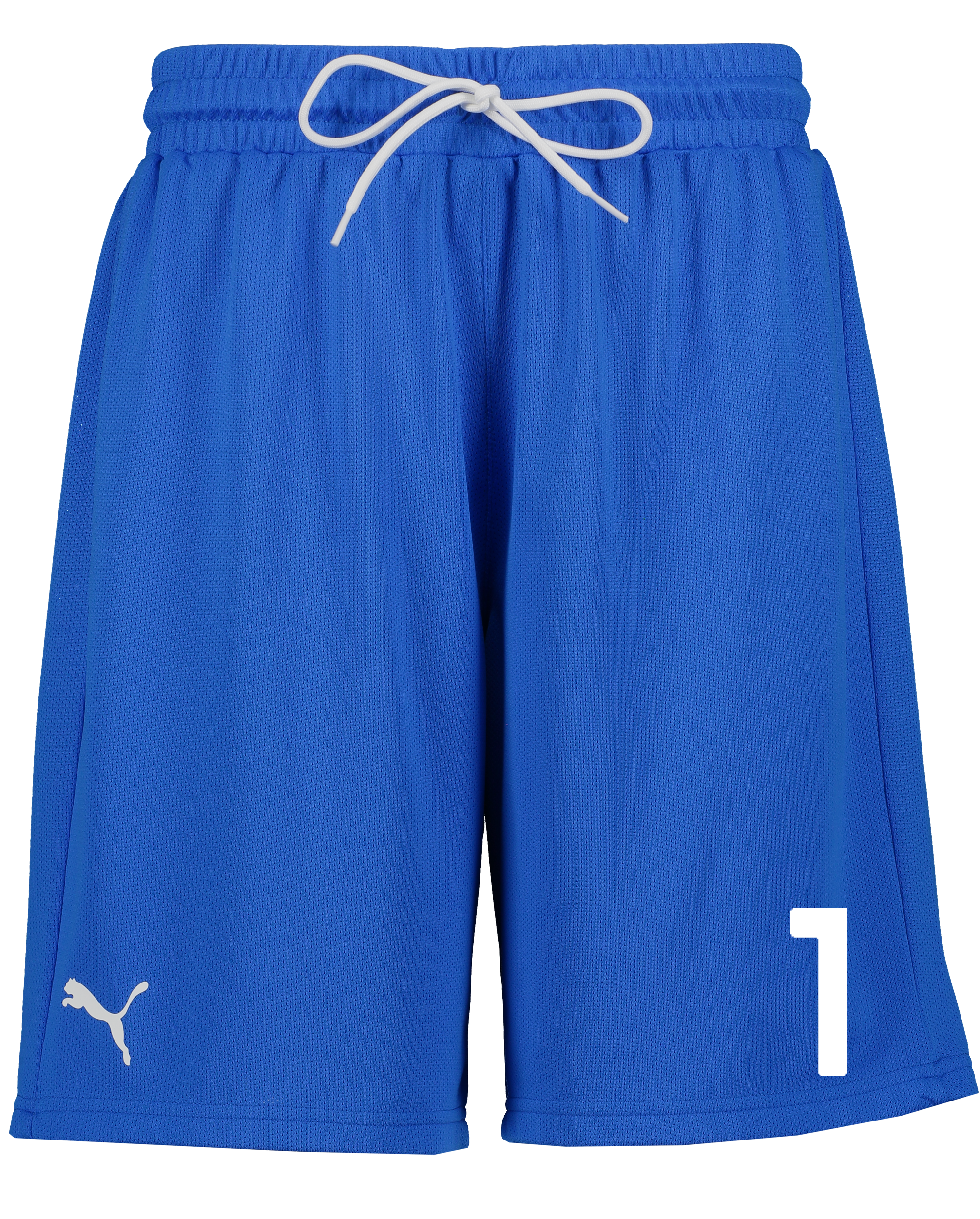 
PUMA, 
Hoops Team Practice Short, 
Detail 1
