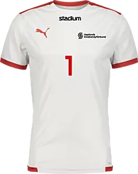 358884115101 PUMA T Liga Ss Jsy 358884115101 PUMA T Liga Ss Jsy Standard Small1x1