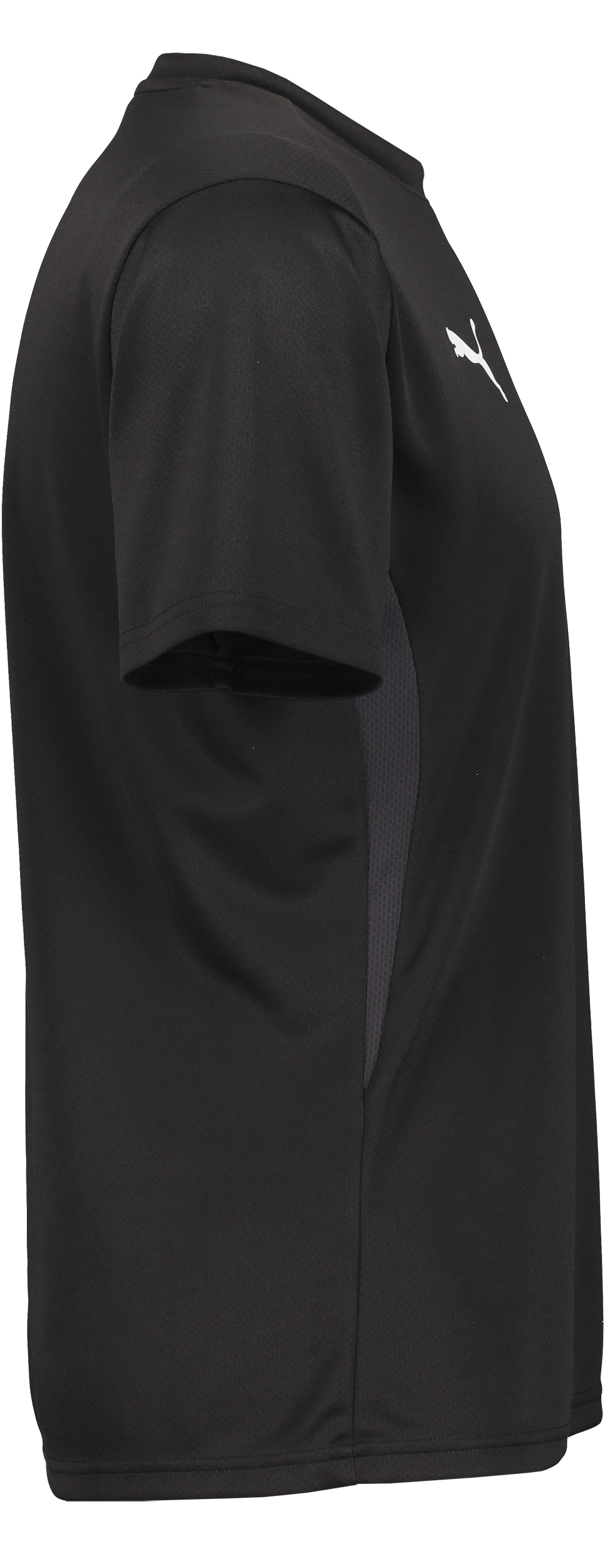 PUMA, T Goal Trg Jsy