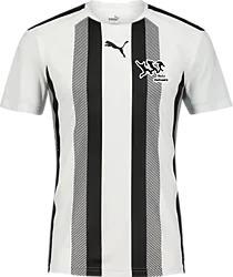 360819103101 PUMA T Liga Striped Jsy 360819103101 PUMA T Liga Striped Jsy Standard Small1x1