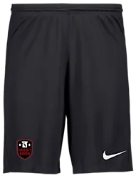 298936101101 NIKE Park III Short 298936101101 NIKE Park III Short Standard Small1x1